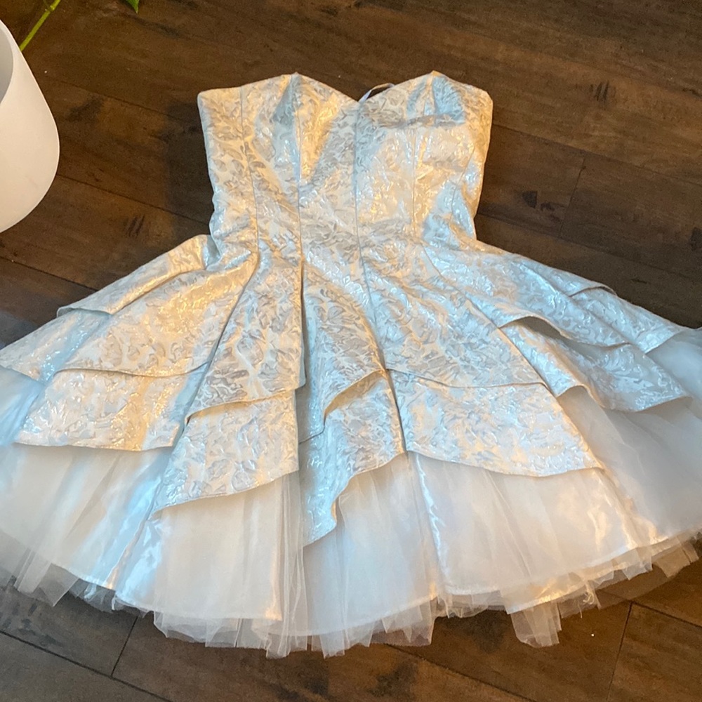 Adorable Strapless Silver and White Tule Dress